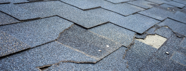 Missing shingles and panel replacement near me