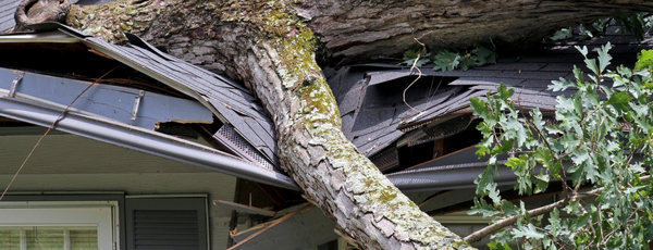 storm damage on a house